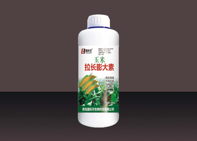 玉米拉長膨大素