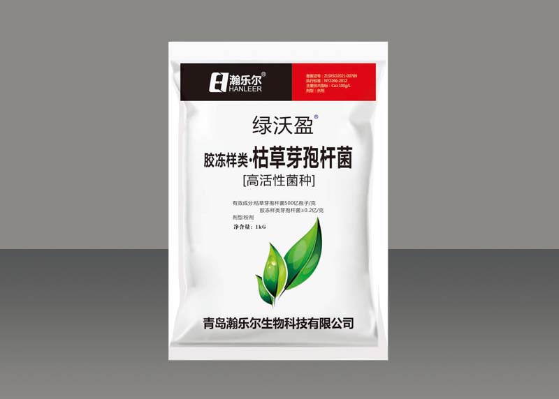 膠凍樣類·枯草芽孢桿菌